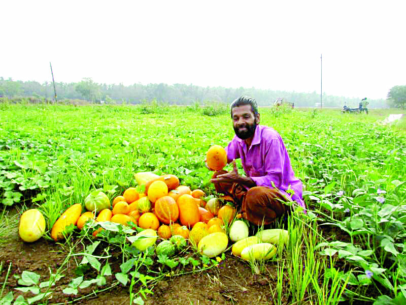 വെള്ളരി; വിവേകാനന്ദന്‍െറ വിഷു സ്പെഷല്‍